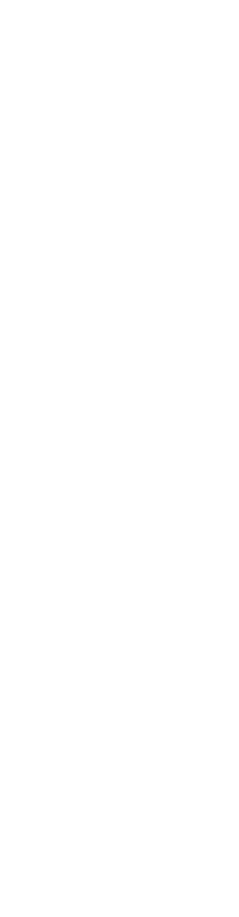 Avatar Skin